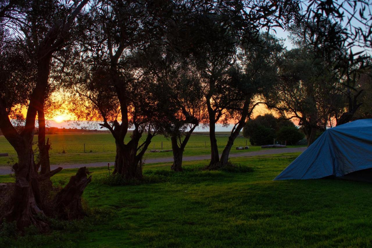 Big4 Cape Jervis Accommodation & Caravan Park Exterior photo
